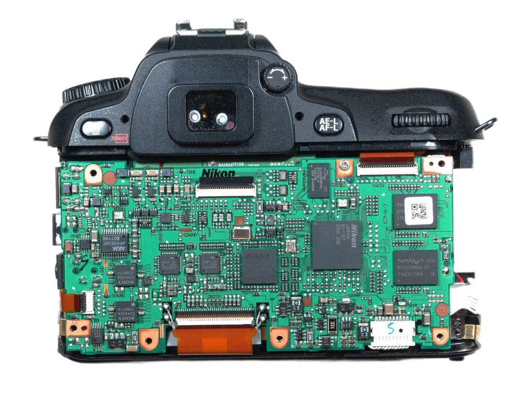 d80back.jpg